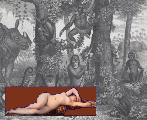 jungle_woman_red
